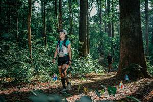 BIB: 
                            <button type="button" onclick="openModal(26130406)" class="btn btn-primary btn-sm float-right btn-popup" data-toggle="modal" data-target=".modal-high-quality">
                        <i class="fas fa-shopping-cart"></i> Add to Cart
                    </button>
                                            <button type="button" onclick="isThisMe(26130406, true)" class="btn btn-success btn-sm float-right btn-popup btn-isme hidden" data-toggle="tooltip" data-placement="bottom" title="นี่คือรูปของคุณใช่ไหม คลิกที่นี่เพื่อเอาเข้าอัลบั้ม">
                        <i class="fas fa-plus"></i> Add to album
                    </button>
                    <button type="button" onclick="isThisMe(26130406, false)" class="btn btn-warning btn-sm float-right btn-popup btn-isnotme hidden">
                        <i class="fas fa-ban"></i> Remove from album
                    </button>